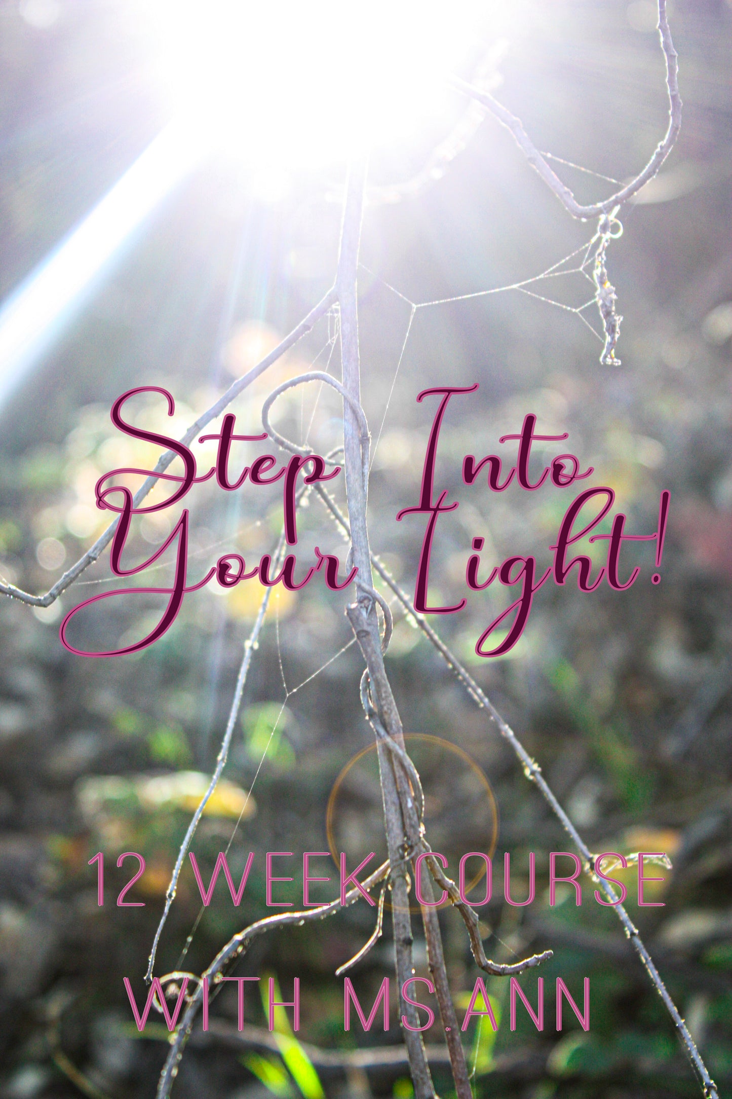 Step Into Your Light: 12 Week Course